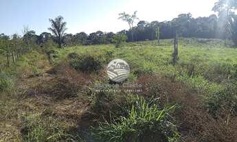 Imagem 2: Machadinho D'Oeste - Sítio - 15 alqueires