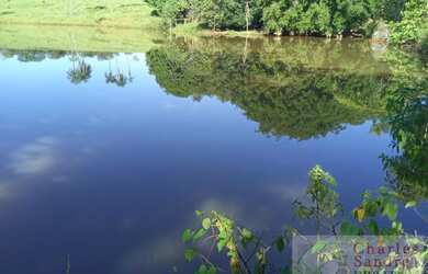 Imagem 4: Chácara para Venda em Petrolina de Goiás, Zona Rural, 2 dormitórios, 1 banheiro, 2 vagas