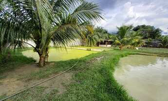 Imagem 7: Lindo Sítio no Ramal do Paricatuba com Excelente Estrutura