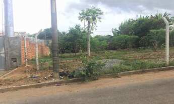 Imagem: Lote gentil Meireles