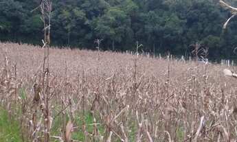 Imagem 2: Excelente Chacara sem benfeitorias com 9.500 m2 lavras 330.000