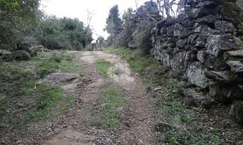 Imagem 6: VALE DOS VINHEDOS (BENTO GONçA - Chácara - Vale Dos Vinhedos