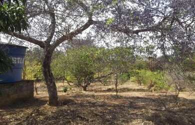 Imagem 2: Sitio 4.00m² com casa, barracão, piscina e área gourmet, Serra do Cipó