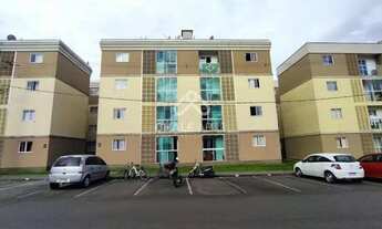 Imagem: JARAGUá DO SUL - Padrão - Ilha da Figueira