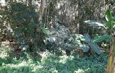 Imagem 7: Terreno à Venda no Parque Petrópolis com 978m²