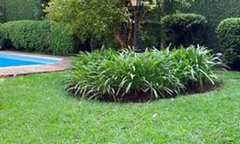 Imagem 3: Casa no condomínio RESIDENCIAL 1 para aluguel com 435 metros quadrados com 4 quartos