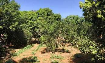 Imagem 2: Goiânia - Rural - <br> Sítios de Recreio dos Bandeirantes