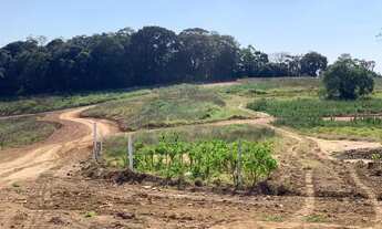 Imagem 7: Promoção boa é só aqui!