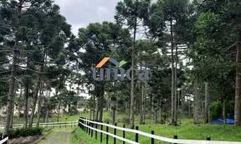 Imagem 2: Chácara em Campo Alegre/SC