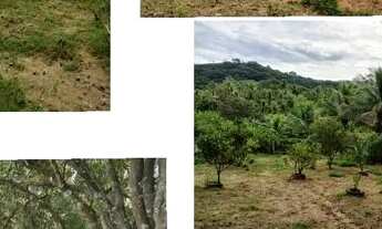 Imagem 4: Aluga- se chácara no Vale do Sol