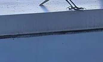 Imagem: Alugo kitnet