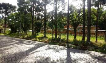 Imagem: Terreno no Centro de Canela!