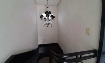 Imagem 6: Novo Hamburgo - Casa Comercial - Hamburgo Velho