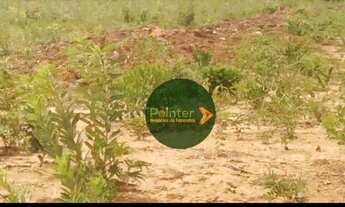 Imagem 3: FAZENDA 147 ALQUEIRE EM SAO SALVADOR -TO