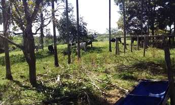 Imagem 5: Vende-se chácara formada com casa