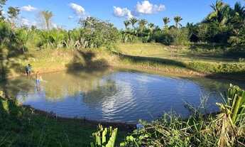 Imagem 5: FAZENDA A VENDA EM VARGEM GRANDE