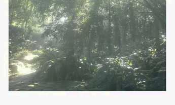 Imagem 6: Casa com 5 dormitórios à venda, 270 m² - Serra Grande - Niterói/RJ