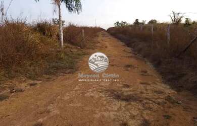 Imagem 4: Venda - Chácara - Cujubim - 2 Alqueires 8 km do Cujubim