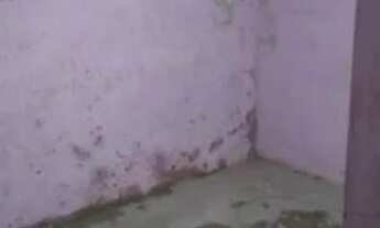 Imagem 5: Vendo casa na ribeira falar diretamente com proprietário