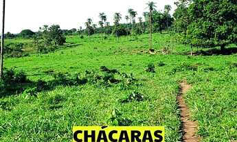 Imagem 5: Fazenda de Cultura em Palmas pecuária