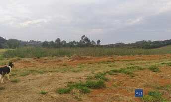 Imagem 5: Sítio com 4 dormitórios à venda, 411400 m² por R$ 8.600.000 - Curralinho - Pouso Alegre/MG