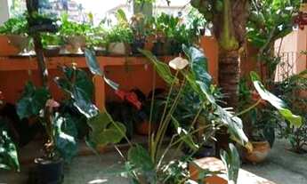 Imagem 6: Vendo 2 Casas em Rio Bonito (Praça Cruzeiro - Cajueiro) Valor R$ 400.000,000