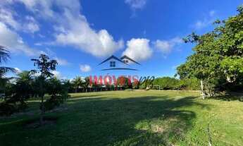 Imagem 7: Vende-se uma chácara em barra de gramame