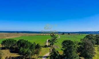 Imagem 7: Palmeira, 99 alqueires, 239 hectares - Dupla Aptidão