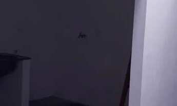 Imagem 5: Casa para locação no Jardim Nilton Torres, em Sorocaba-SP