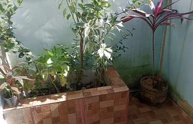 Imagem 3: VENDO CASA COM LOJA