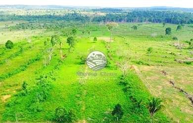 Imagem 5: Venda - Chácara - Vale do Anari - 4 Alqueires top Machadinho