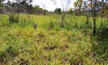 Imagem: Vendo excelente sitio Em jaguaripe palma