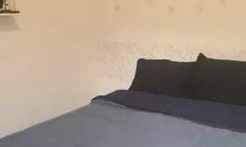 Imagem 15: Apartamento Locação Higienópolis 100 m² 3 Dormitórios