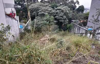 Imagem 2: Terreno 350 metros para venda no Tucuruvi em São Paulo/SP