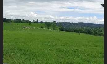 Imagem: Fazenda de 614.2286 hect em nova américa