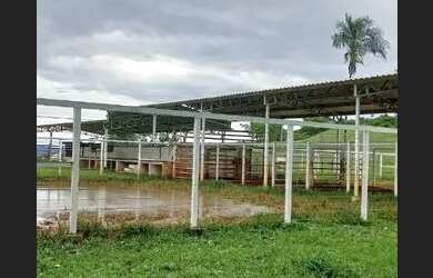 Imagem 3: Fazenda de 614.2286 hect em nova américa Goiás R$:21 milhões