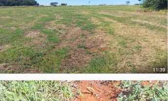 Imagem 2: Fazenda pra café beira da pista