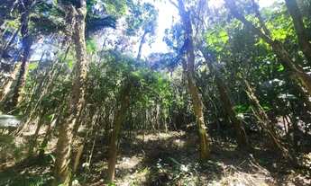 Imagem 3: Terreno de 18.000 m² à venda em Juquitiba - Loteamento Belvedere