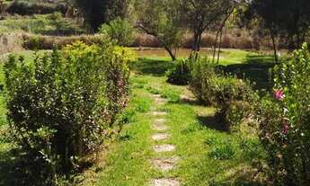 Imagem 5: Chácara para temporada