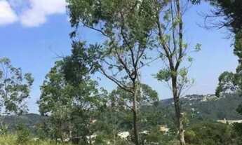 Imagem 4: AREA - CHÁCARA JAGUARI (FAZENDINHA) - SP