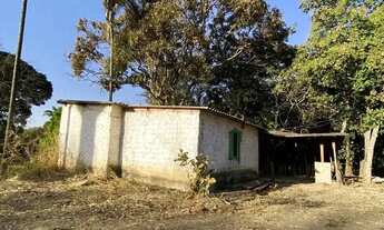 Imagem: Chácara a venda 5.800 m2 / Árvores frutiferas