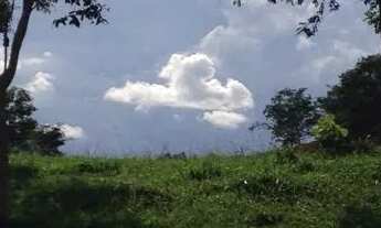 Imagem 4: Alugo Chácara de 9.8 Alqueires (46 hectares) a 50Min de Gyn por 7mil ao mês