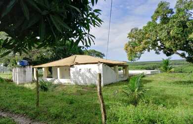 Imagem 6: Fazenda São João Evangelista