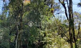 Imagem 2: TERRENO EM GRAMADO, PLANO NO BAIRRO CARNIEL