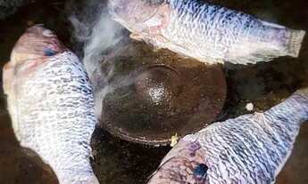 Imagem: Sitio em Minas, Nanuque-MG, tanques peixes