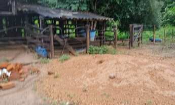 Imagem 2: Beira da Represa em Cascalho Rico