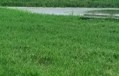 Imagem 6: FAZENDA RURAL em ITACARAMBI - MG, Itacarambi