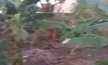 Imagem: Vendo terreno