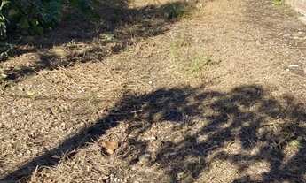 Imagem 2: TERRENO ALTO A VENDA NA COHAB FRAGATA-PELOTAS RS