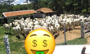 Imagem 6: Fazenda Fazenda / sítio com venda por R$3.400.000